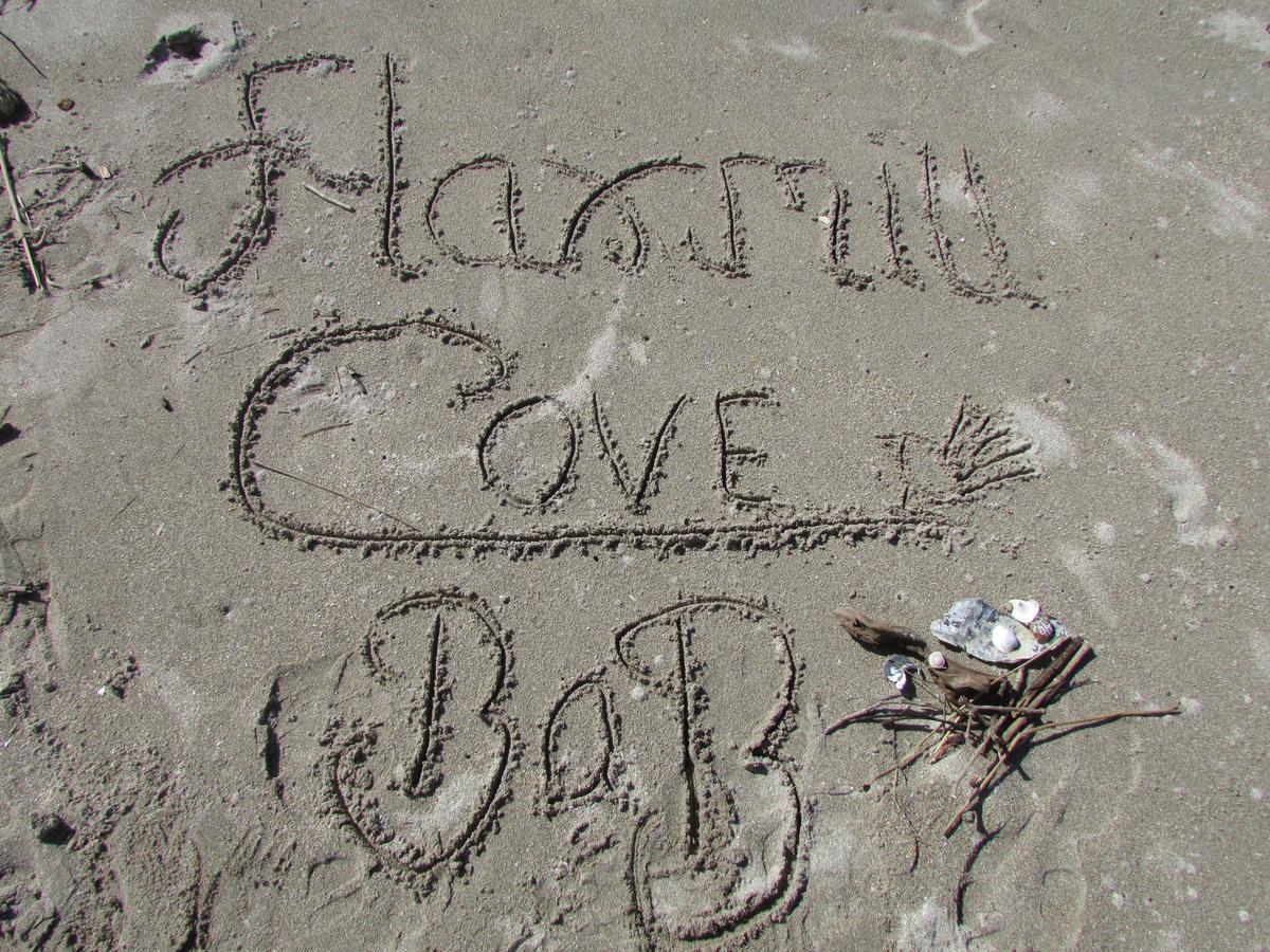 Flaxmill Cove B&B Whitianga Exterior foto